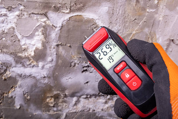 Certified Mold Removal in Baxter Village, SC